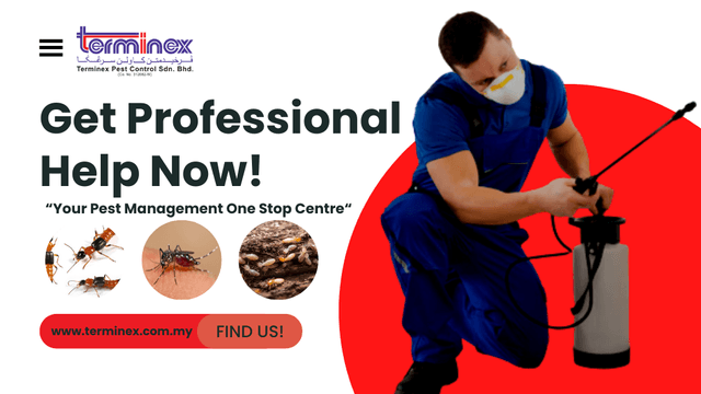 Photo of Terminex Pest Control Sdn Bhd - Kuala Lumpur, Kuala lumpur, Malaysia