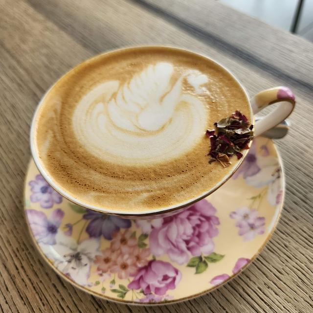 Photo of The Owls Cafe at Sunway Pyramid - Petaling Jaya, Selangor, Malaysia
