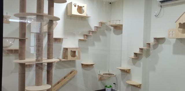 Photo of Vet For You Medical Centre Denai Alam, Shah Alam - Shah Alam, Selangor, Malaysia