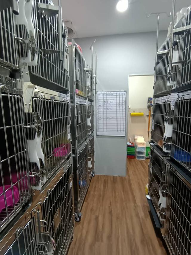 Photo of Vet For You Medical Centre Denai Alam, Shah Alam - Shah Alam, Selangor, Malaysia