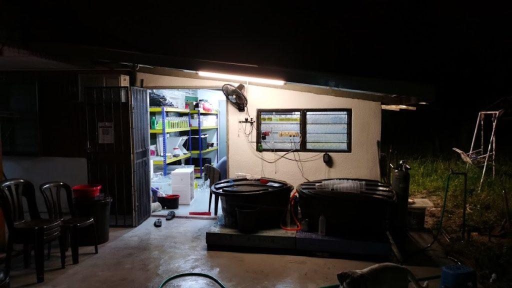 Background Blur Cover