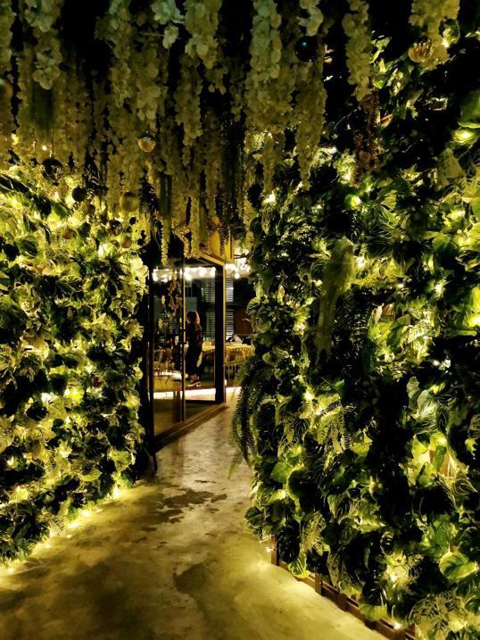 Photo of Sleepy Forest - Kota Kinabalu, Sabah, Malaysia