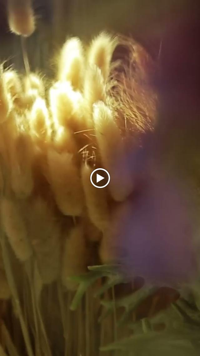 Photo of V Life Cafe - Ipoh, Perak, Malaysia