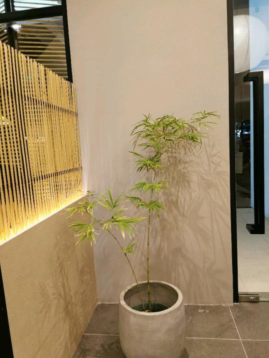 Photo of 竹里酸菜鱼 (Zoooli Fish) - Kota Kinabalu, Sabah, Malaysia