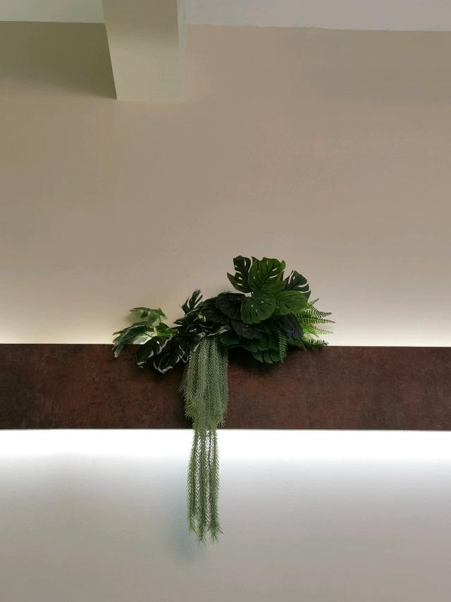 Photo of Wake Up by SF - Kota Kinabalu, Sabah, Malaysia