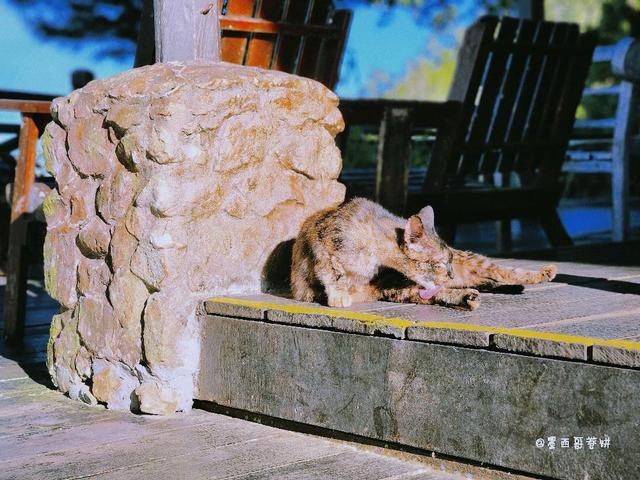 Photo of Kasih Sayang Hill Resort - Kota Kinabalu, Sabah, Malaysia