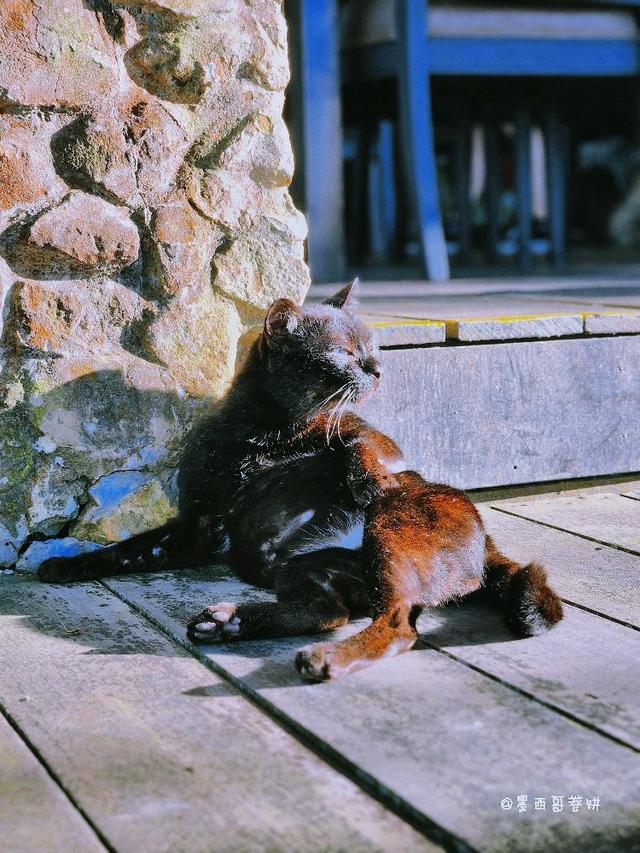 Photo of Kasih Sayang Hill Resort - Kota Kinabalu, Sabah, Malaysia