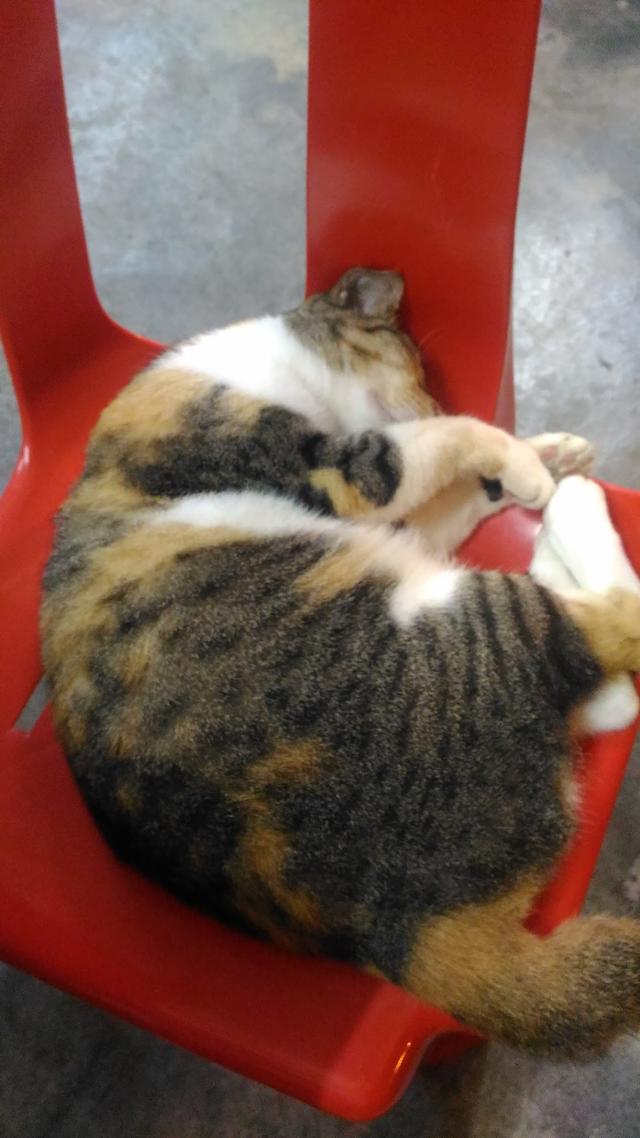 Photo of Kedai Makanan & Minuman ABCD - Muar, Johor, Malaysia