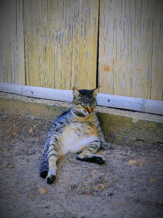 Photo of Bukit Kopungit trail start - Kota Kinabalu, Sabah, Malaysia