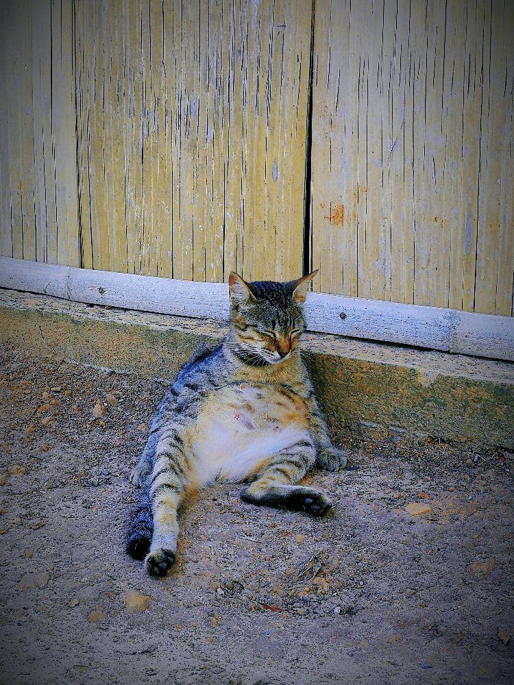 Photo of Bukit Kopungit trail start - Kota Kinabalu, Sabah, Malaysia