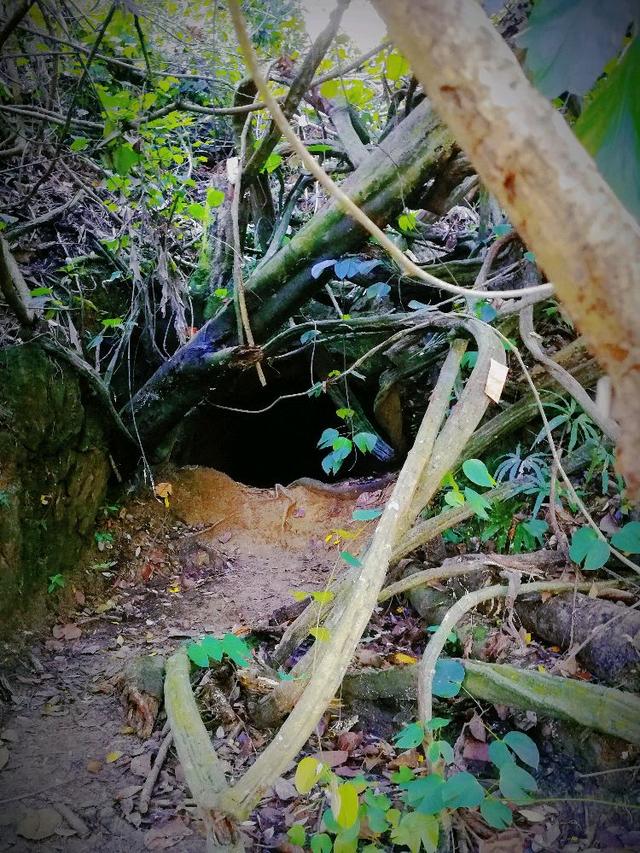 Photo of Bukit Kopungit trail start - Kota Kinabalu, Sabah, Malaysia