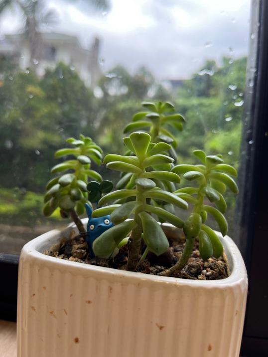 Photo of Makarios Book Café - Kota Kinabalu, Sabah, Malaysia