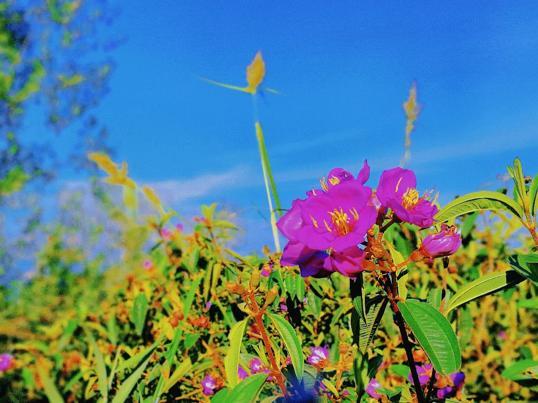 Photo of Bukit Kopungit trail start - Kota Kinabalu, Sabah, Malaysia