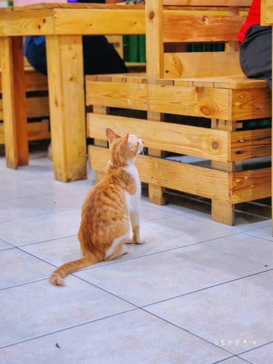 Photo of Restoran & Katering Zieleto Ikan Boulu tanpa Tulang (Cawangan Penampang) - Kota Kinabalu, Sabah, Malaysia