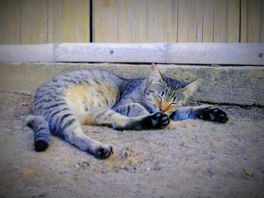 Photo of Bukit Kopungit trail start - Kota Kinabalu, Sabah, Malaysia