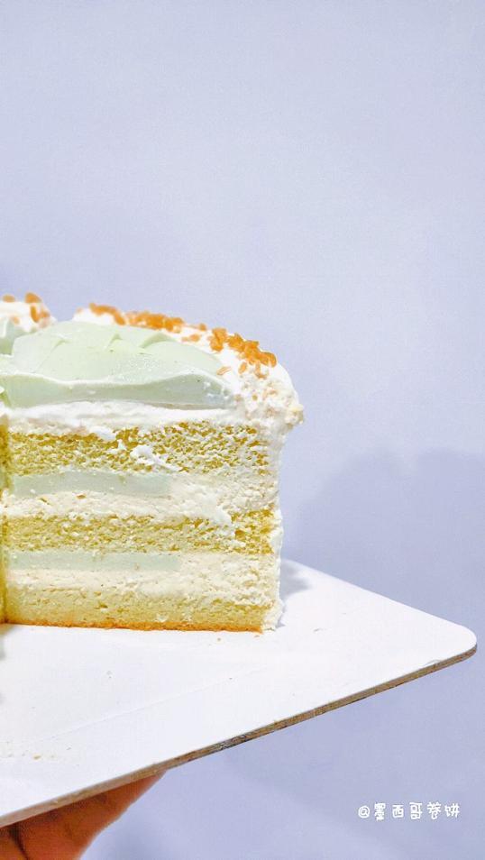 Photo of Whitebird - Kota Kinabalu, Sabah, Malaysia