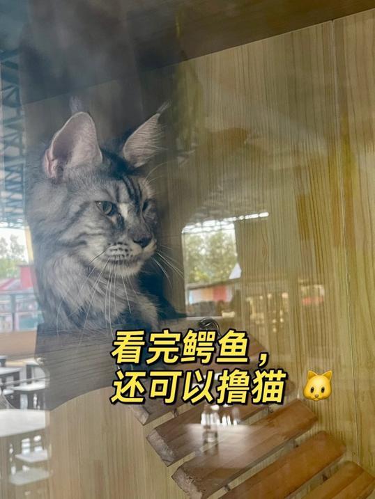 Photo of Crocodile World 鳄鱼世界 - Johor Bahru, Johor, Malaysia