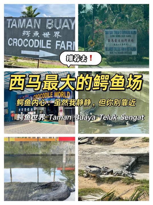 Photo of Crocodile World 鳄鱼世界 - Johor Bahru, Johor, Malaysia