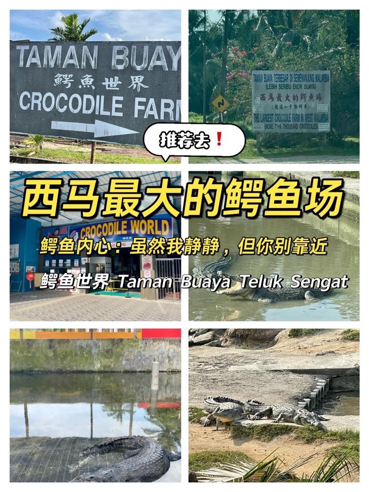 Photo of Crocodile World 鳄鱼世界 - Johor Bahru, Johor, Malaysia