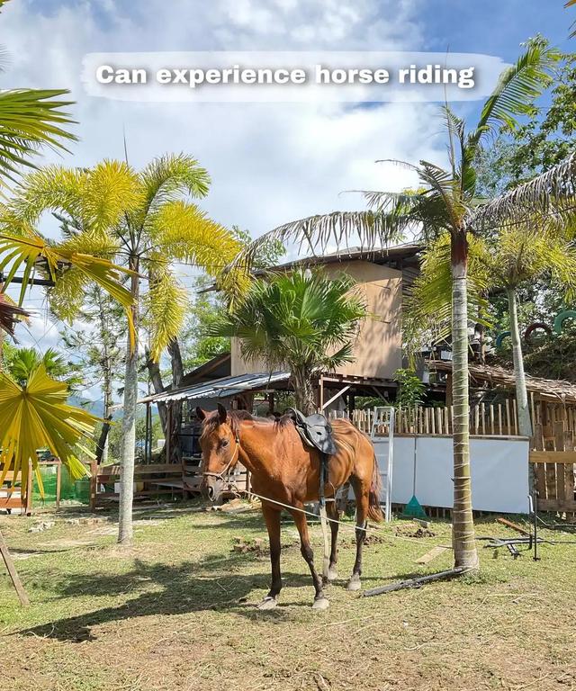 Photo of Mark Baba Pets - Kota Kinabalu, Sabah, Malaysia