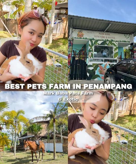 Photo of Mark Baba Pets - Kota Kinabalu, Sabah, Malaysia