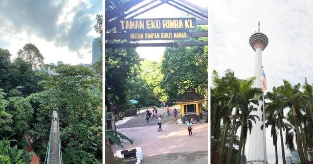 A Guide to Visiting the KL Forest Eco Park