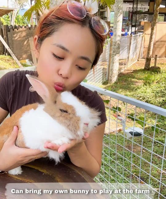 Photo of Mark Baba Pets - Kota Kinabalu, Sabah, Malaysia