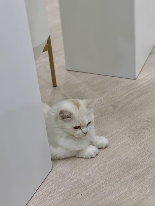 Photo of RB Coffee House - Kota Kinabalu, Sabah, Malaysia