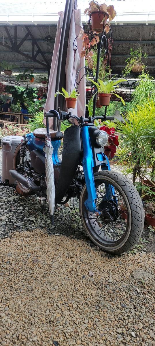 Photo of Green Cottage Trading - Kota Kinabalu, Sabah, Malaysia