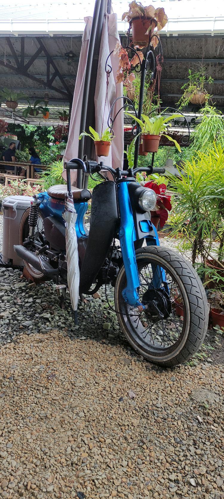 Photo of Green Cottage Trading - Kota Kinabalu, Sabah, Malaysia