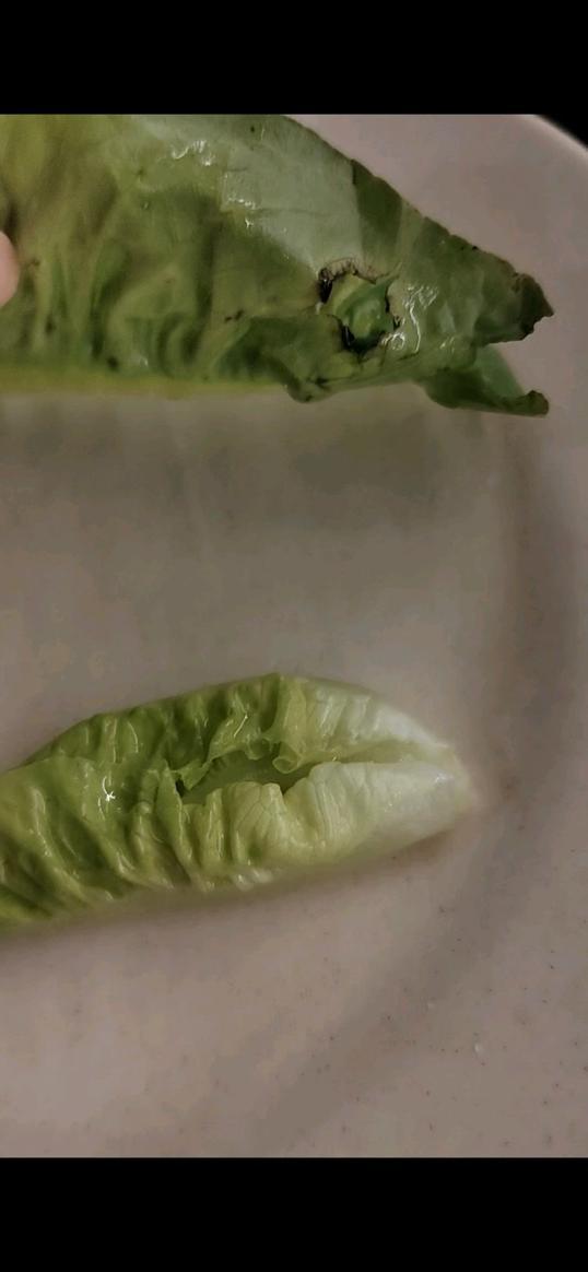 Photo of Sedap BBQ Steamboat 捞起来烧烤火锅 - Kota Kinabalu, Sabah, Malaysia