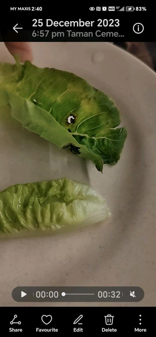 Photo of Sedap BBQ Steamboat 捞起来烧烤火锅 - Kota Kinabalu, Sabah, Malaysia