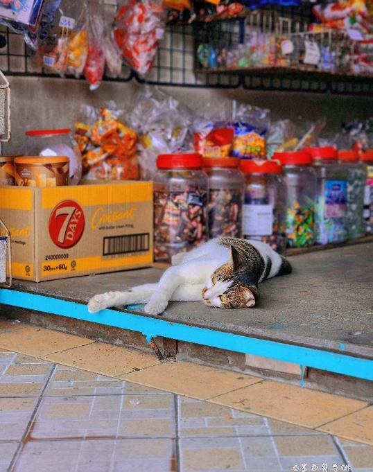 Photo of Tuaran Mee Restaurant - Tuaran, Sabah, Malaysia