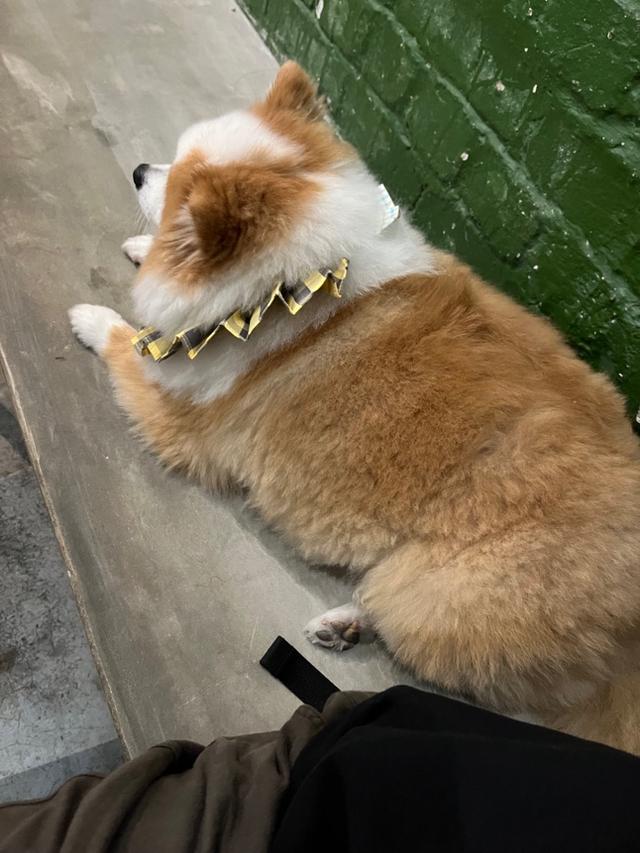 Photo of Norm Micro Roastery - Penang Island, Penang, Malaysia