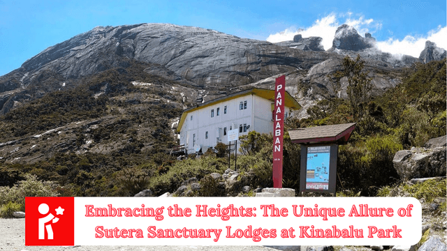 Embracing the Heights: The Unique Allure of Sutera Sanctuary Lodges at Kinabalu Park