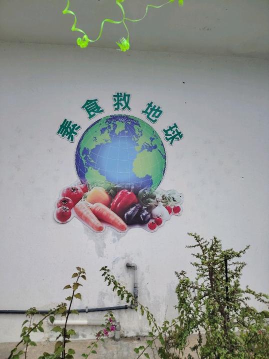 Photo of Min See Vegetarian - Kota Kinabalu, Sabah, Malaysia