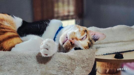 Photo of Cat & Mei Cafe - Kota Kinabalu, Sabah, Malaysia