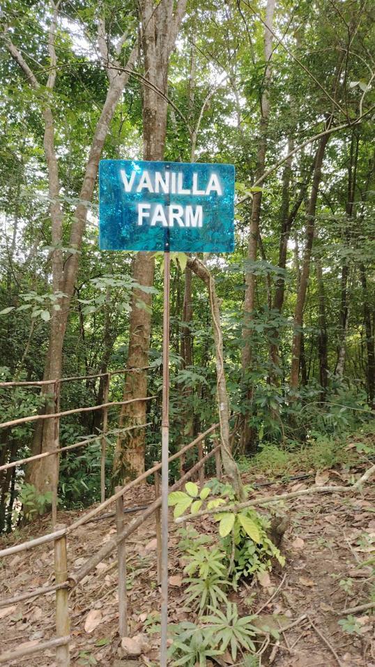Photo of Green Cottage Trading - Kota Kinabalu, Sabah, Malaysia