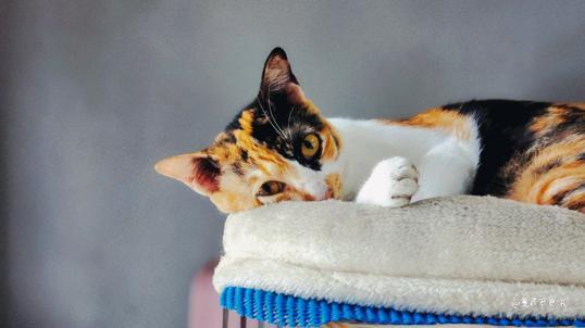 Photo of Cat & Mei Cafe - Kota Kinabalu, Sabah, Malaysia