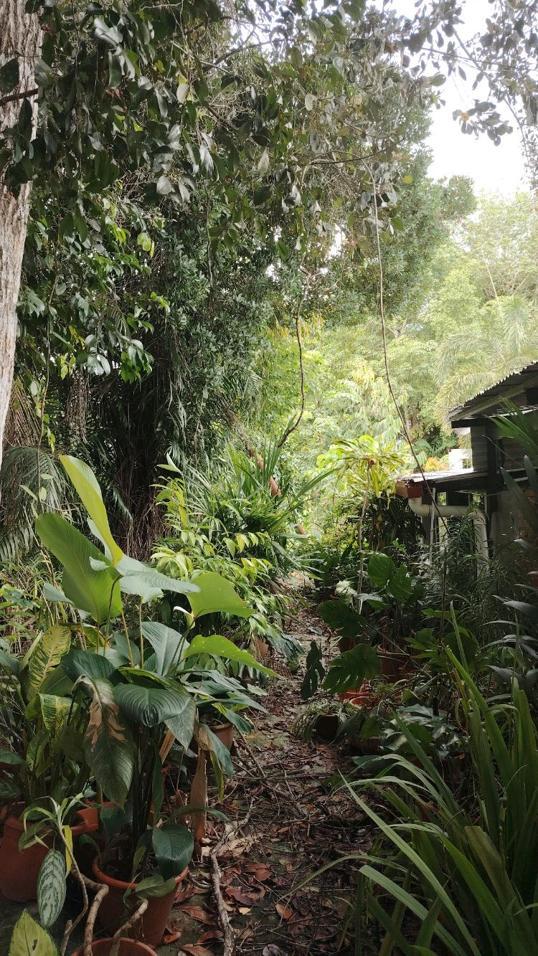 Photo of Green Cottage Trading - Kota Kinabalu, Sabah, Malaysia