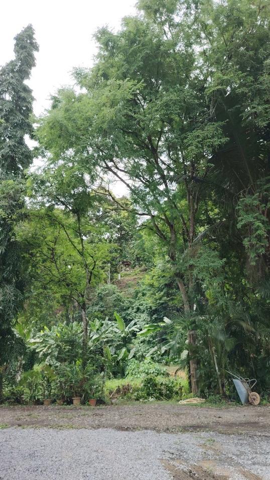 Photo of Green Cottage Trading - Kota Kinabalu, Sabah, Malaysia