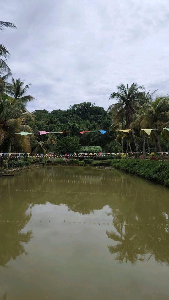 Photo of Green Cottage Trading - Kota Kinabalu, Sabah, Malaysia