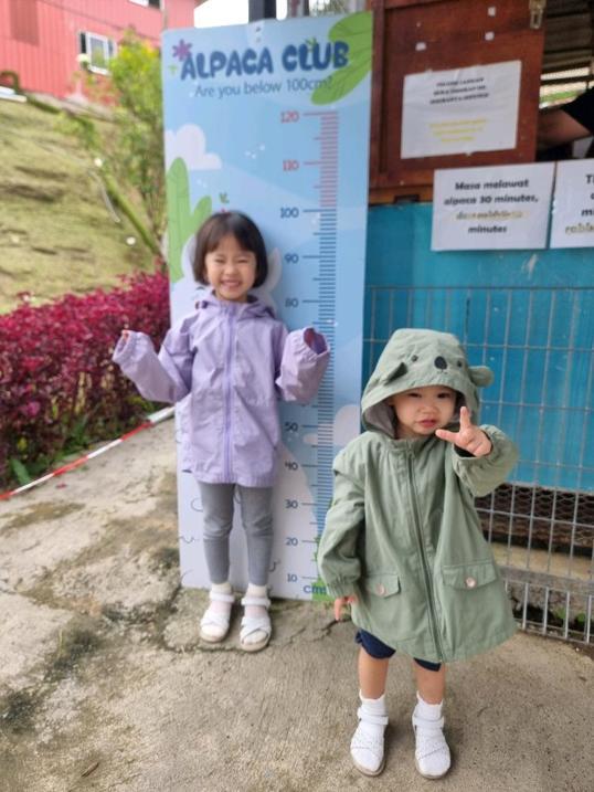 Photo of Alpaca Club - Kundasang, Sabah, Malaysia