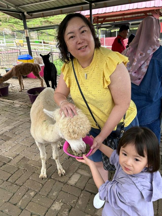 Photo of Alpaca Club - Kundasang, Sabah, Malaysia