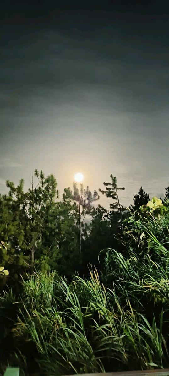 Photo of B-Inspired Abode - Kundasang, Sabah, Malaysia