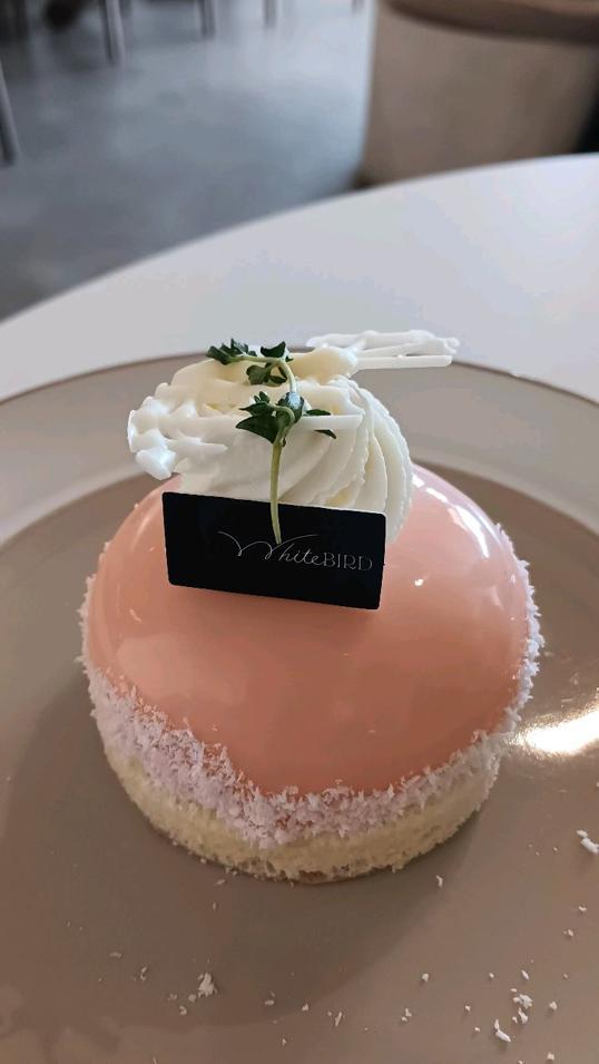 Photo of Whitebird - Kota Kinabalu, Sabah, Malaysia