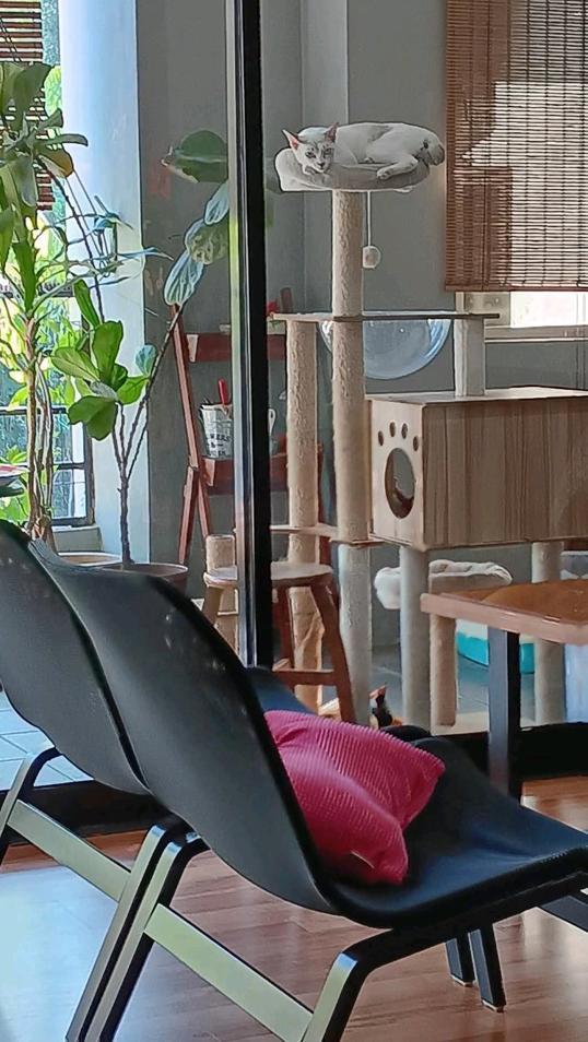 Photo of Cat & Mei Cafe - Kota Kinabalu, Sabah, Malaysia