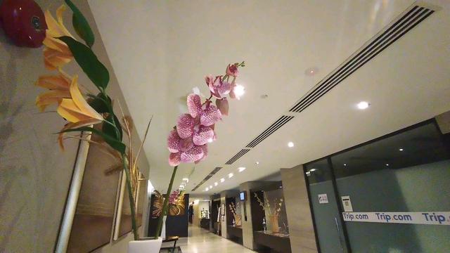 Photo of Rosea Cafe - Kota Kinabalu, Sabah, Malaysia