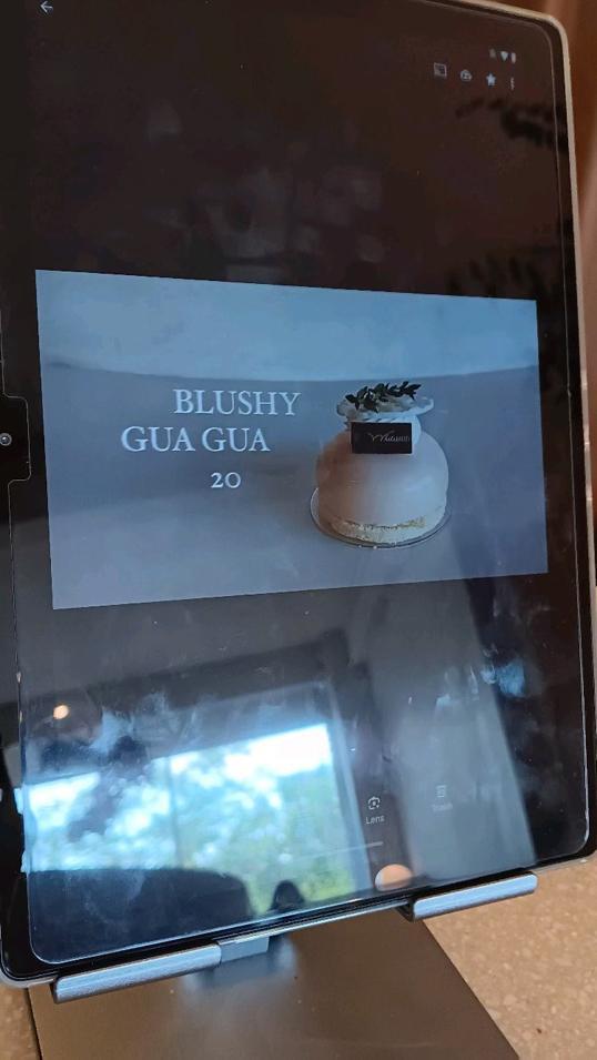 Photo of Whitebird - Kota Kinabalu, Sabah, Malaysia