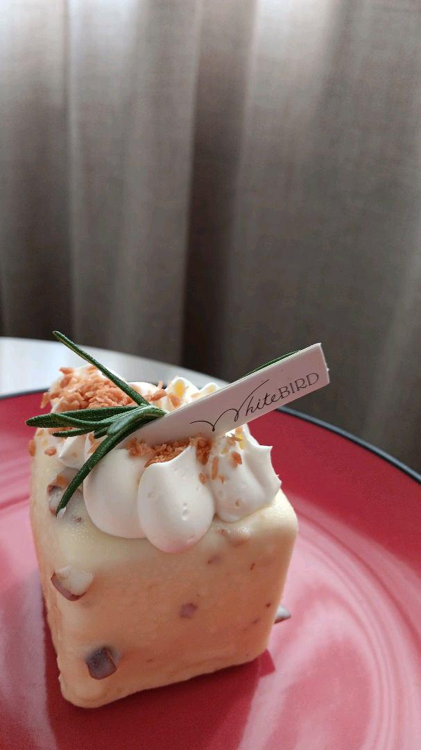 Photo of Whitebird - Kota Kinabalu, Sabah, Malaysia